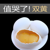 Double yellow big goose egg farm fresh free-range soil goose egg children pregnant women 12 extra-large goose eggs