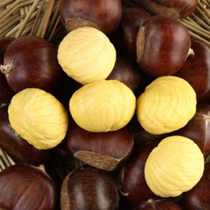 Pizhou Chen Lou slab chestnuts Fresh chestnuts Wild chestnuts Big chestnuts 5 pounds