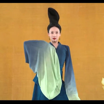 The Spring Festival Gala is only this green and green Tongan acting out of a dance poem drama of thousands of miles and a wide sleeve of classical dance in the country