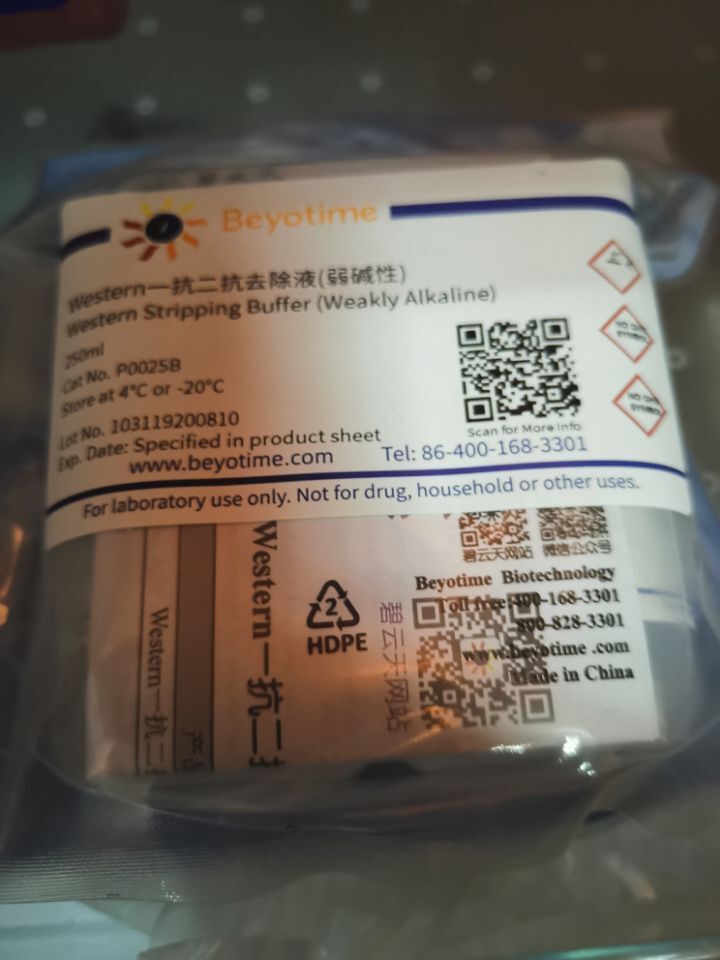 碧云天 一抗二抗去除液（弱碱性）P0025B