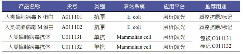 人类偏肺病毒抗体 仅供科研使用