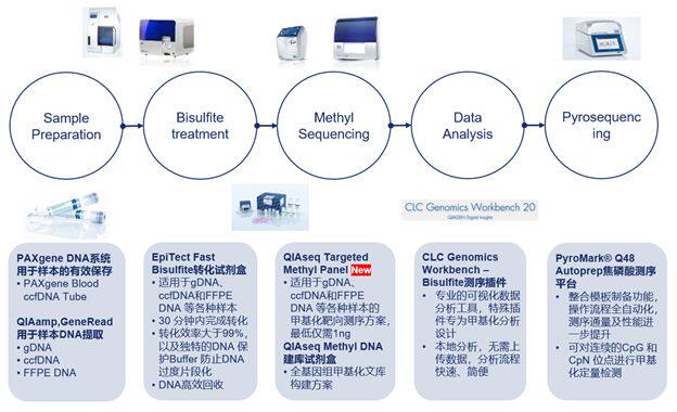QIAseq Targeted Methyl Panel甲基化靶向测序解决方案