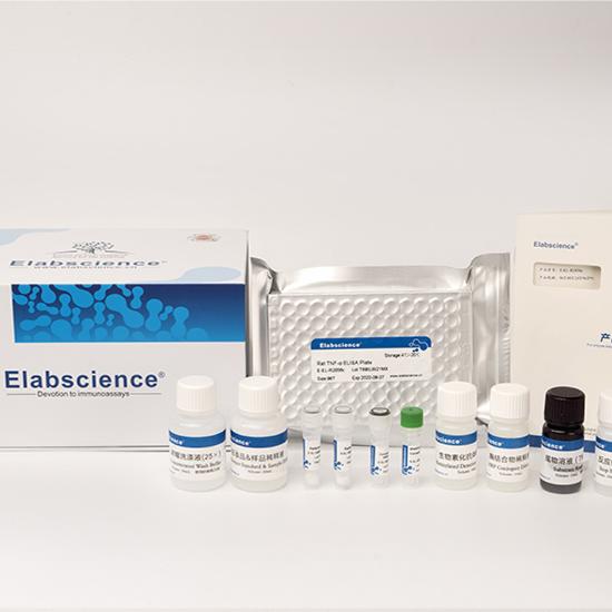 EasySortTM Mouse CD8+T Cell Isolation Kit  CD8+T 细胞分离
