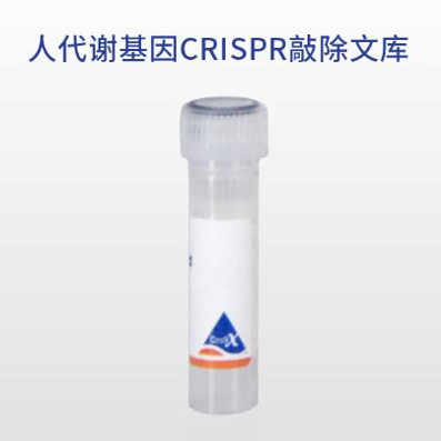 人代谢基因CRISPR敲除文库  海星生物