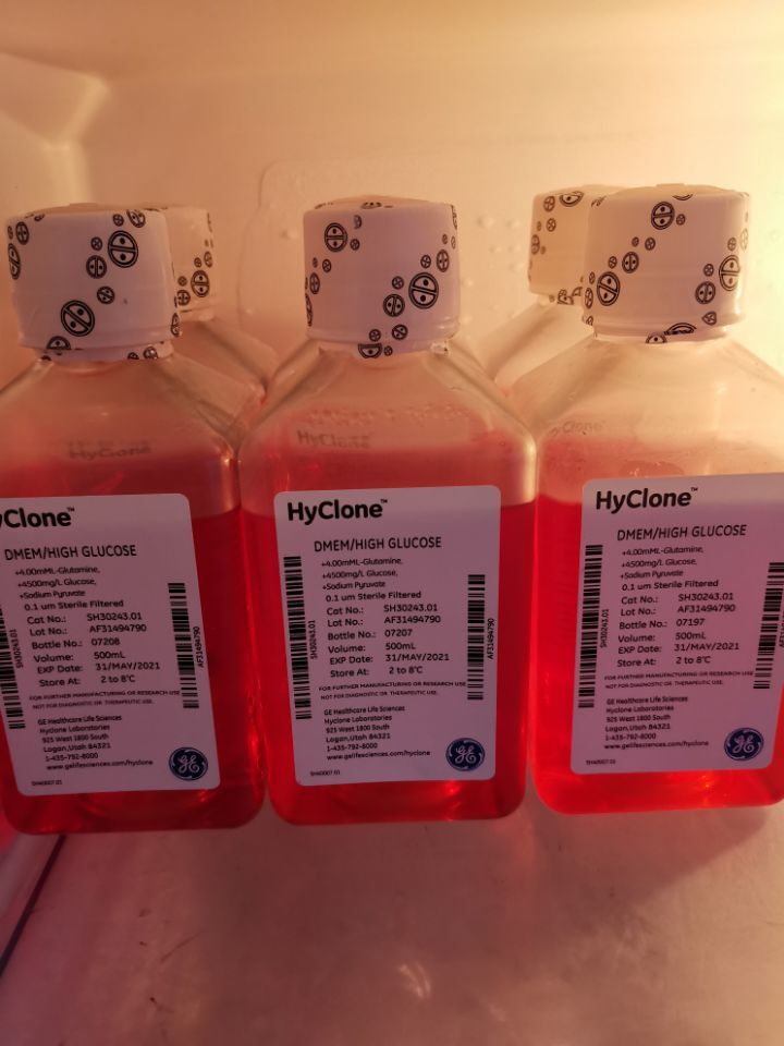 hyclone培养基 dmem /high glucose SH30243.01