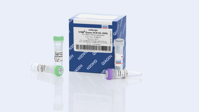 EXIQON miScript SYBR? Green PCR Kit 218073