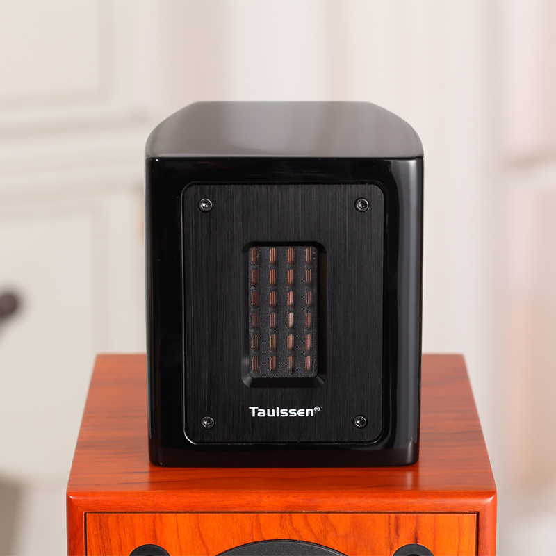 TAULSSEN Taosheng T3 fifth generation fever and other magnetic field band external ultra-high frequency speaker ultra-high frequency extension