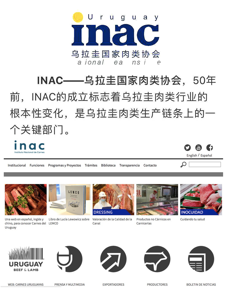 宋大房 轻食高蛋白 即食乌拉圭牛腱子肉 80g*4包 图5
