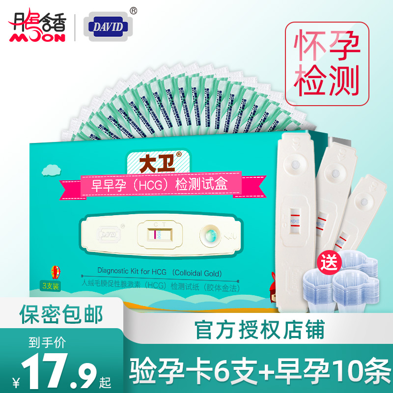 David Early pregnancy test strip High precision pregnancy test ovulation pregnancy paper test strip Female pregnancy precision pregnancy test stick pen