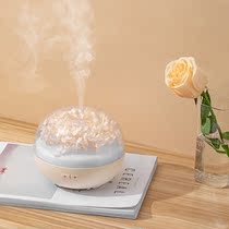 Practical ritual aroma diffuser exquisite special birthday gift for girlfriends graduation season creative senior sense