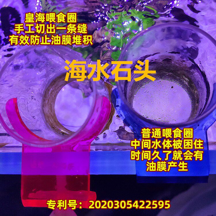 皇海荧光鱼缸喂食圈环无油膜挂钩拉筋投食器防飘漂水族亚克力
