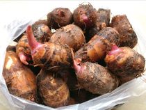 Sichuan agricultural products specialties are now dug in red-mouthed Taro small taro special second kill 5kg