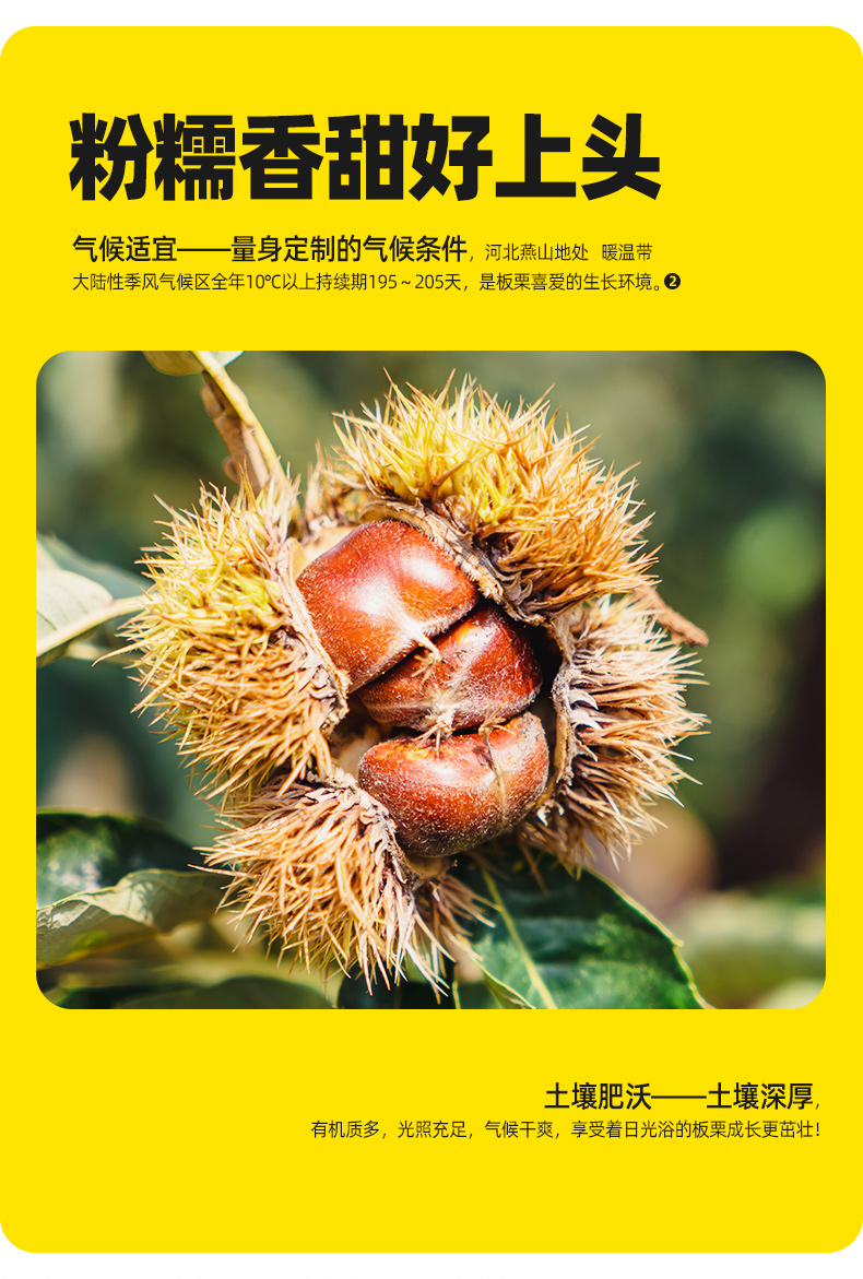 粒上皇 甘栗仁100g*3袋 即食燕山熟板栗 图4