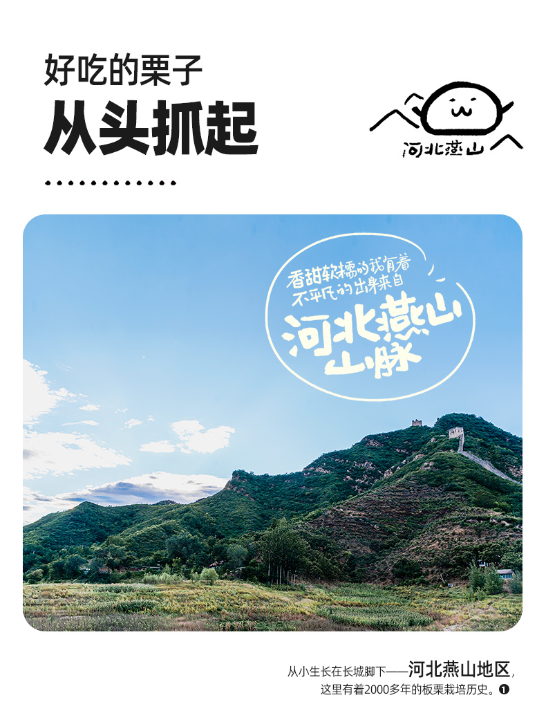 粒上皇 甘栗仁100g*3袋 即食燕山熟板栗 图2