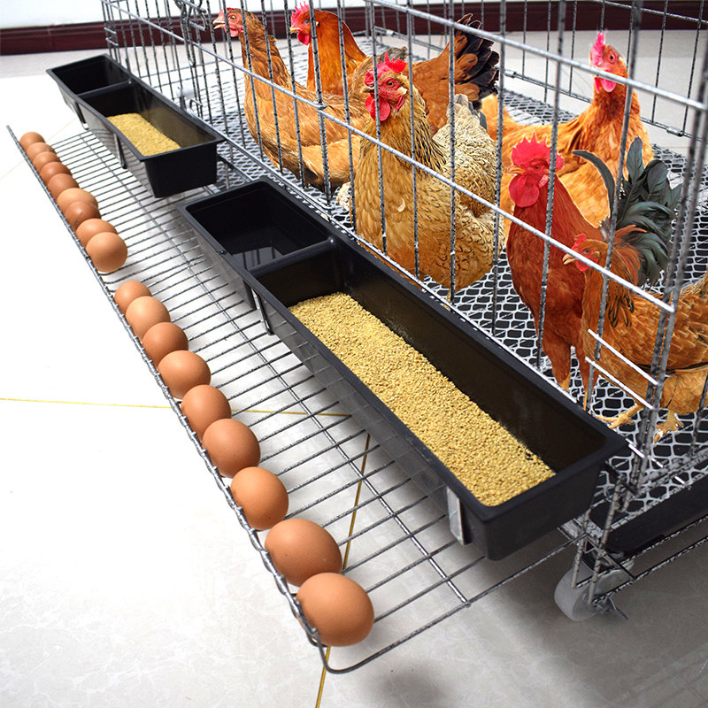 Chicken cage breeding cage field chicken cage household large extra large chicken cage Iron Chicken House automatic egg laying chicken cage net