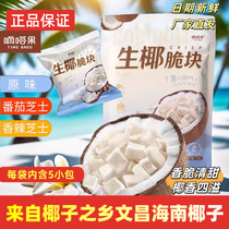 Tikta Fruit Raw Coconut Crisp Blocks 108g Ready-to-Eat Hainan Style Coconut Dried Snacks Coconut Slices Casual Snacks Coconut Slices
