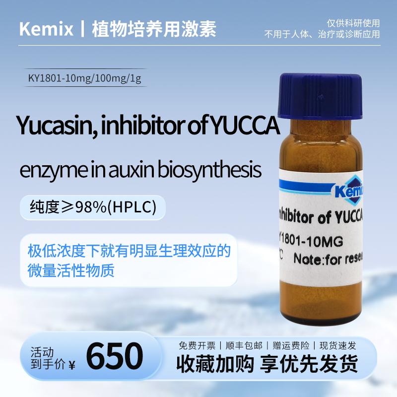 Yucasin, inhibitor of YUCCA  enzyme in auxin biosynthesis