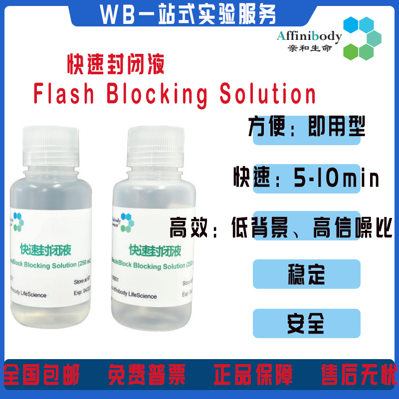 Affinibody WB快速封闭液5-10min 完成封闭产品稳定 安全无毒即用