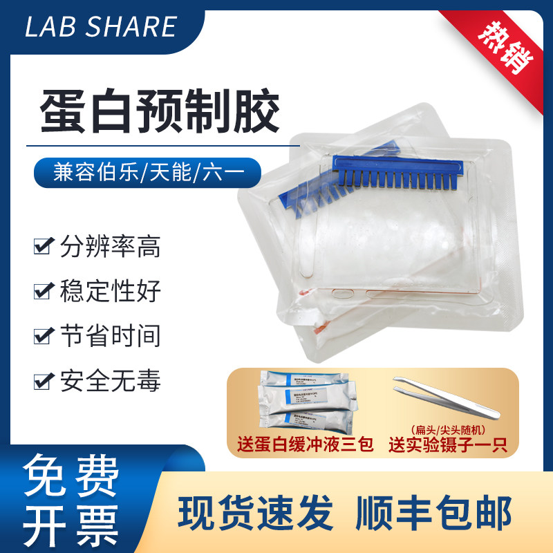 WB蛋白预制胶兼容伯乐/天能/六一mini电泳槽固定浓度梯度胶1.00mm