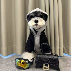Dog Clothes Fake Two-Piece Autumn and Winter Warm Schnauzer Bichon Teddy Shiba Inu West Highland Pet Hooded Sweatshirt