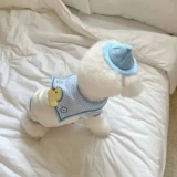 Летняя собачья одежда Тонкая одежда для домашних животных дышащие мультипликационные жилеты для кошачья одежда кошачья одежда бишон