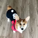 Одежда собаки осенью и зимой густая теплая хлопчатобумажная одежда Тедди Тедди Белль Бумеи маленькие собачьи кошки четыре юбки