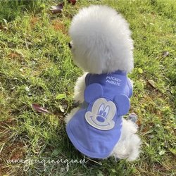 Dog Clothes Summer Thin Fadou Schanery Bears Teddy Chai Dog West Highland Pet Breathable Vest