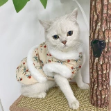 Демисезонная утепленная юбка, жилет, осенний сезон, цветочный принт