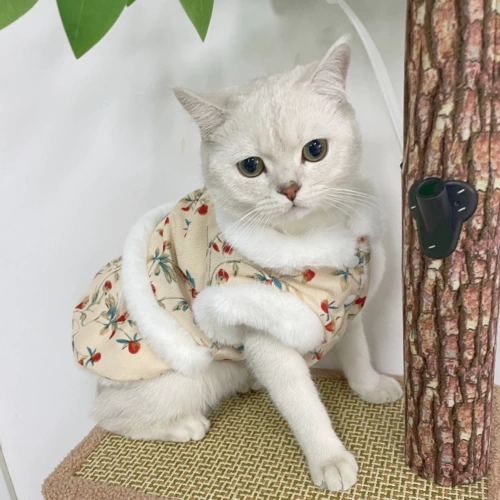 Демисезонная утепленная юбка, жилет, осенний сезон, цветочный принт