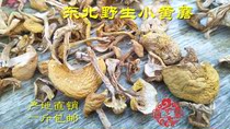 Wild Xiaohuang mushroom dried goods Northeast Changbai Mountain specialty lemon wax umbrella new goods 500 grams to eat