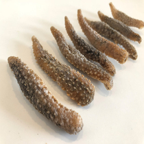  Deep-sea light dry millet thorn sea cucumber Deep-sea dry goods High foaming rate and good taste 250g