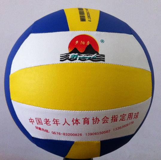 Ballon de volley - Ref 2010770 Image 6