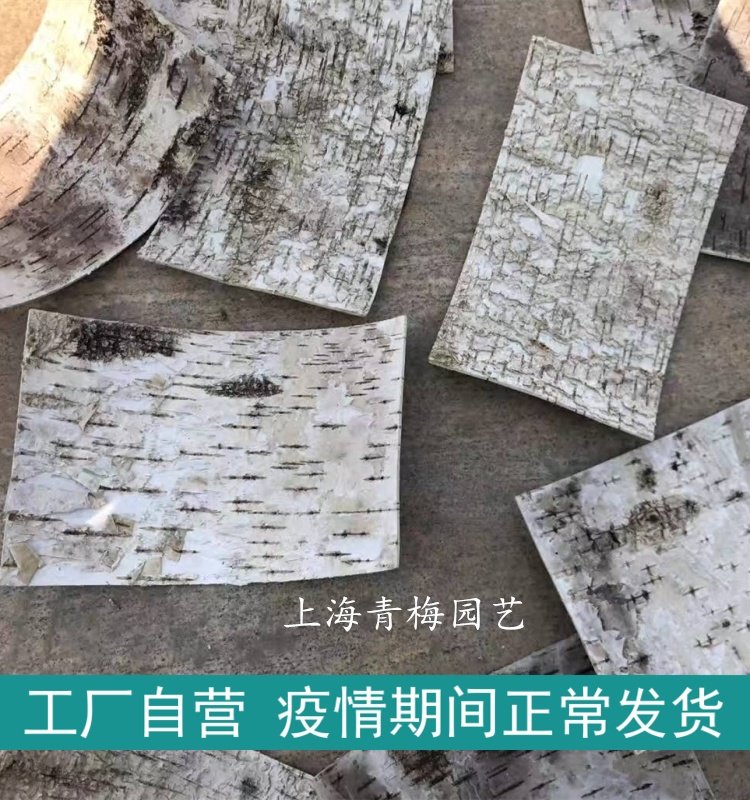 White Birch Bark Home Decoration DIY Floral Materials Crafts Raw Material Wedding Decor Genuine Tree Leather Bag Piping Pillar Wall Surface