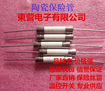 6*30 ceramic fuse tube 30A250V environmental protection double cap lead with pin 6x30 ceramic fuse tube