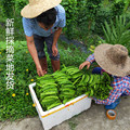 小网生鲜