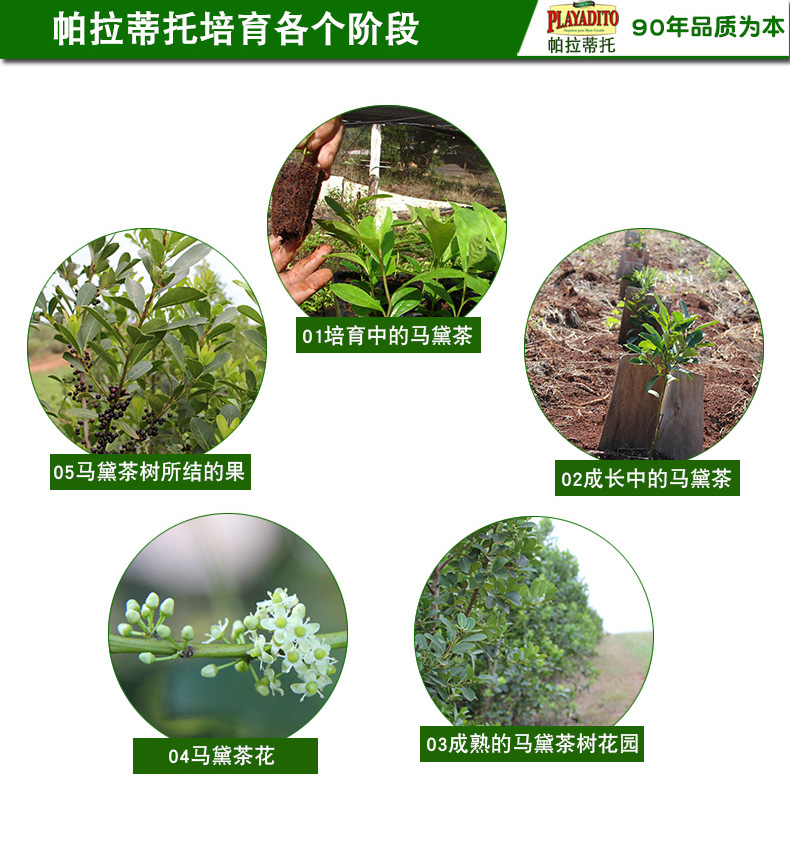 【买2赠1】帕拉蒂托马黛茶袋25茶包