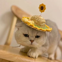 Cat Hat Gold and Silver Gradient Blue Cat Headband Dog Teddy Corgi Sunscreen Straw Hat Pet Dressing Braided Headwear
