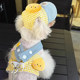 Spring and summer dog harness suit traction rope clothes pet outing cat outing cartoon leaky ear sun hat