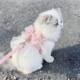 Fairy style cat traction rope to prevent break-away when going out, special princess dress, vest-style chest and back, cat leash, cat walking clothes