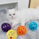 Cat toy ball, self-pleasure, amusing cat ball, energy consumption, cat supplies collection, puppies, puppies and kittens, teeth grinding