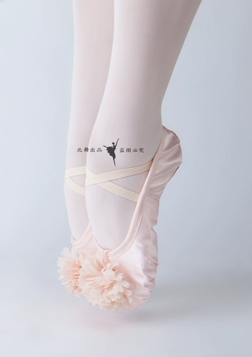 Детская обувь для раннего возраста, балетки, танцующие туфли, мягкая подошва, в цветочек