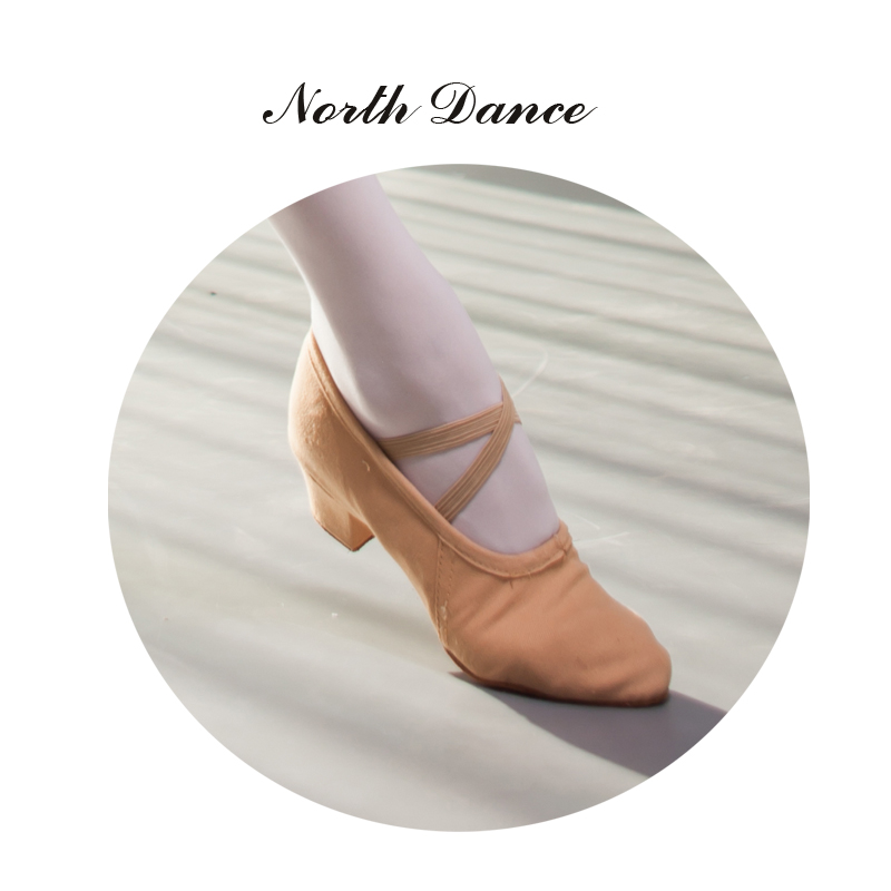 Chaussons de danse - Ref 3447732 Image 23