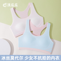 Guagua Modal Ice Silk Girls' Underwear Junior High School Students' Inner Developmental Girls' Bra Breast Tape Summer