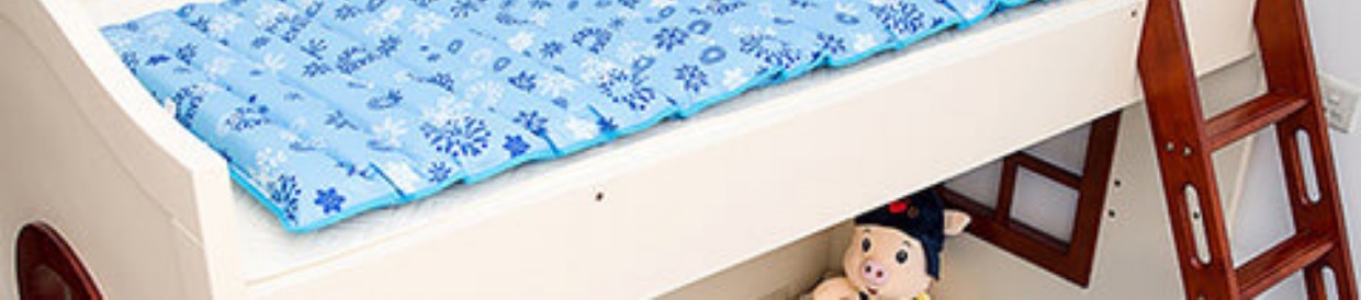 Nước sinh viên giường đơn ghế nệm nước đôi mat nước đá đệm nước sofa đệm băng nước Liangdian ký túc xá giường - Nệm nệm giá rẻ