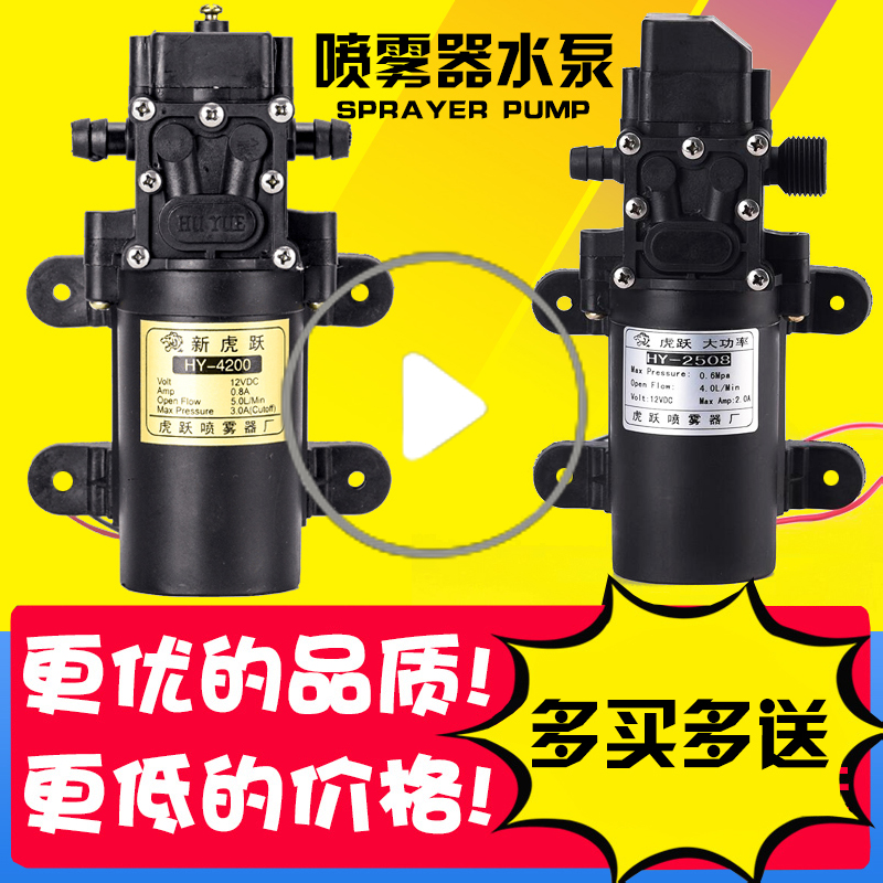 Rain Dew Tiger Leap Electric Nebulizer 12V Volt Pumped Pumping Oil Washes Intelligent High Power Double Motor Water Pump