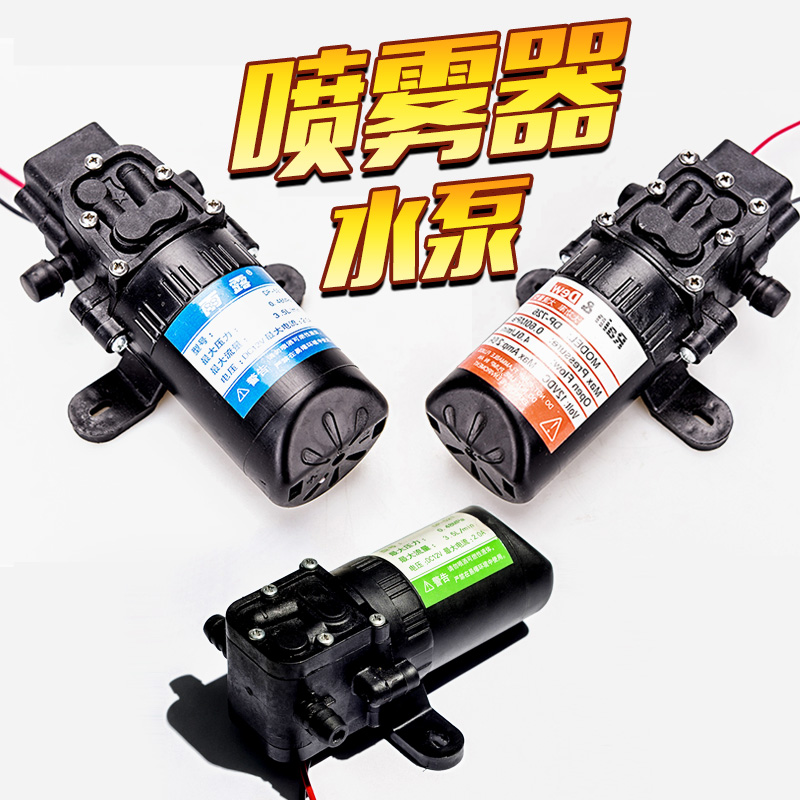 12V volt agricultural electric sprayer water pump diaphragm micro high pressure self-priming car wash water drill for pesticide electromechanical machine