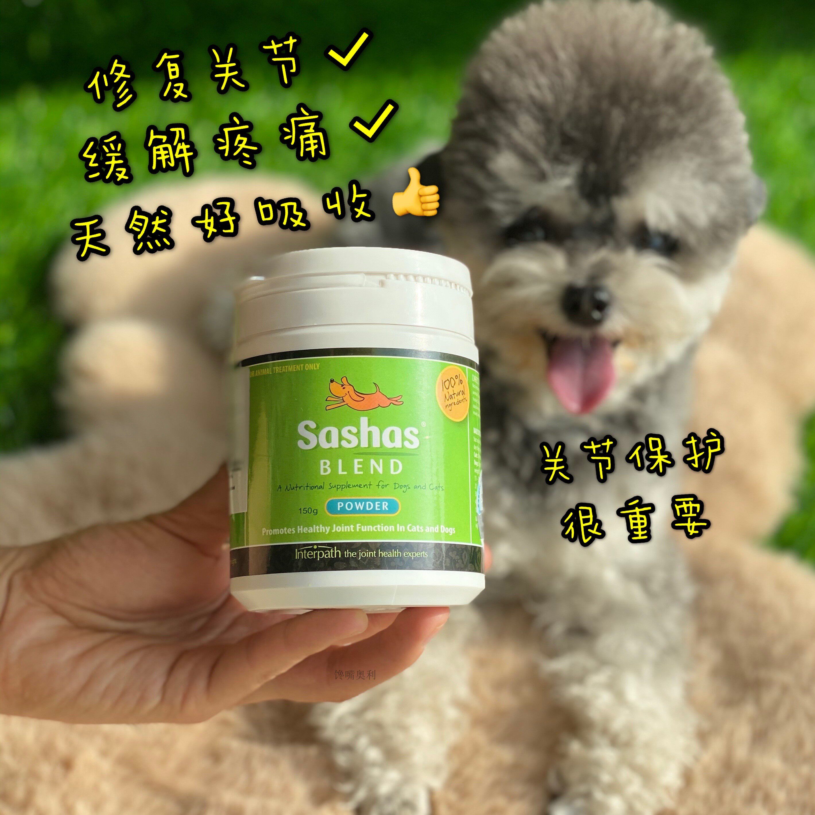 Ten-year-old Sasha sashas pet dog cat joint Ling shark chondroitin patella hip joint repair bone