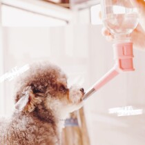And Its Lengthened Pet Drinking Water Pet Cat Dog Drinking Water Pet Travel Drinking Water Bottle Pet Drinking Pot