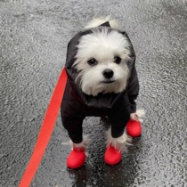 Dogs shoes Silicone Rain Boots Winter Teddy Pets Not Falling foot sleeves Cute Small Large Dogs Anti Dirty