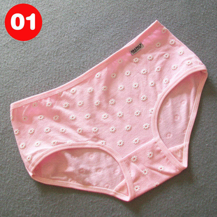 Slip jeunesse W003 en coton - Ref 645673 Image 8